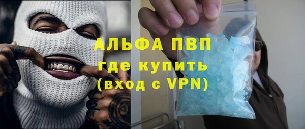 гашик Дмитровск