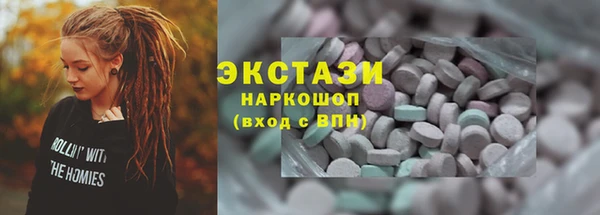 гашик Дмитров