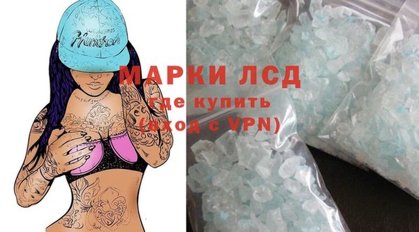 гашик Дмитров