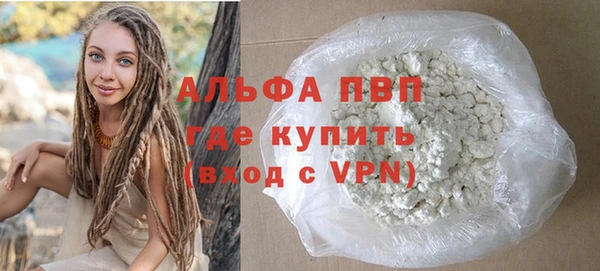 гашик Дмитров