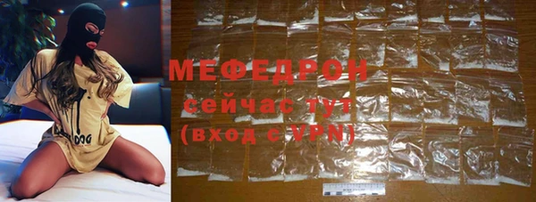 гашик Дмитров