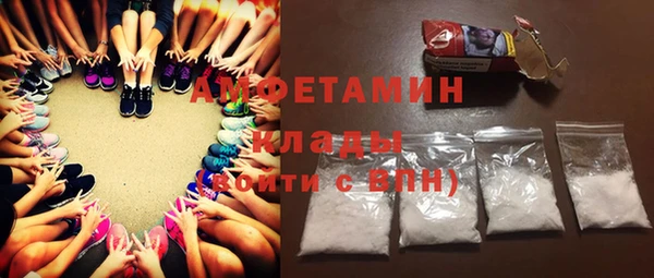 гашик Дмитров