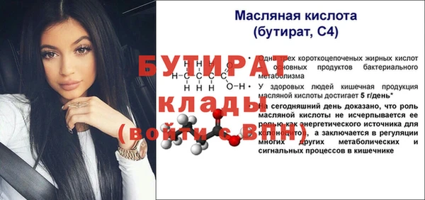 гашик Дмитров